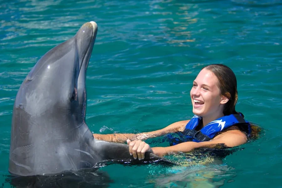 DOLPHIN EXPLORER